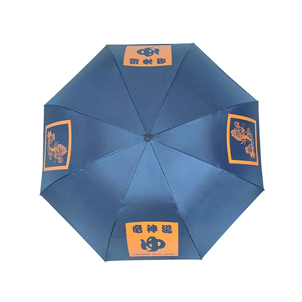 Double Canopy Inverted Umbrella